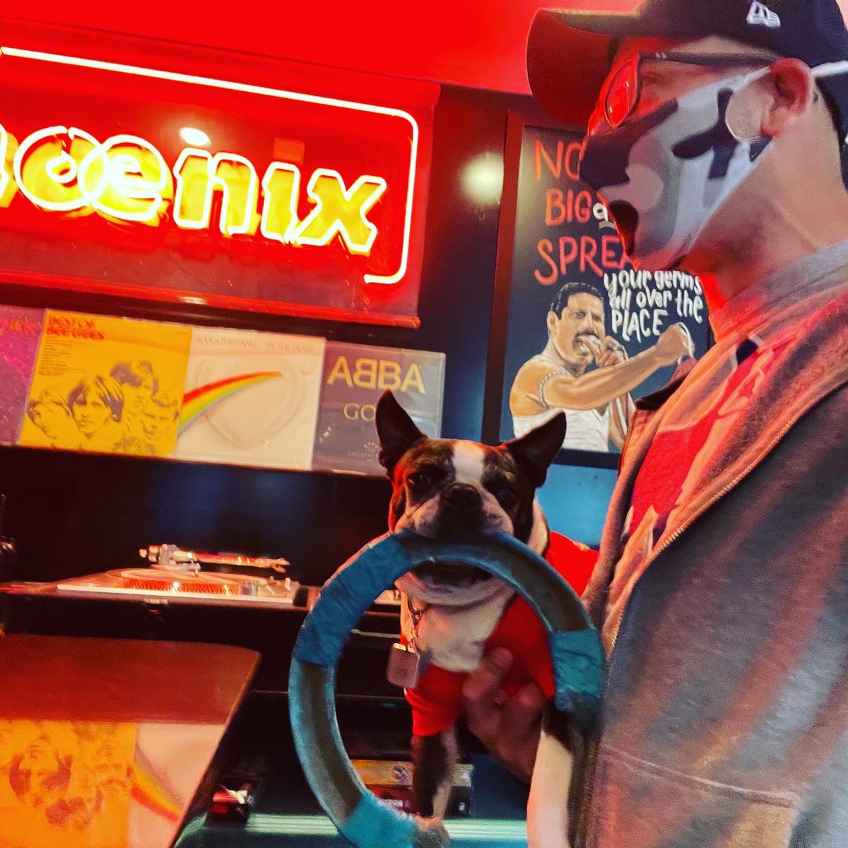 LennyTheBoston's tweet photo. Had a great stay at the @VerbHotel in #Boston, next to @fenwaypark amazing staff, comfy beds, treats for me, dog bags in lobby, treated me like a rockstar! Pick your own records and play on the record player &amp; speaker, order @HojokoBoston Ramen w/a view of Fenway! #hotelreview https://t.co/HnMdbsvy8a