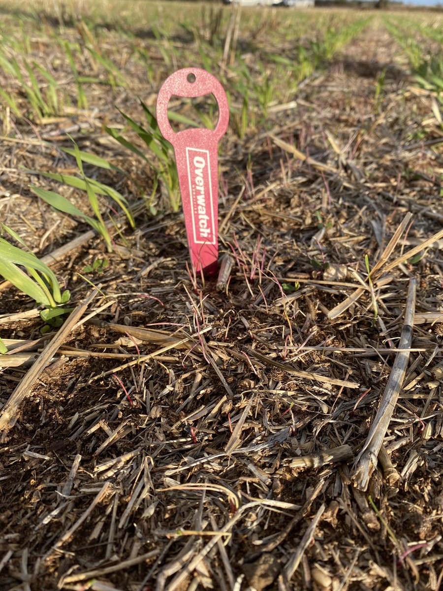 jock_neumann's tweet photo. Great to have @HughPalmer9 @FMCANZ in South Australia this week #SeeingTheDifference with #Overwatch with over the 30 paddocks inspected from EP/YP, 2600kms, 20 Agro’s and a few chicken parmi’s. Great results not making Twittersphere. https://t.co/qbIo2oXM0F