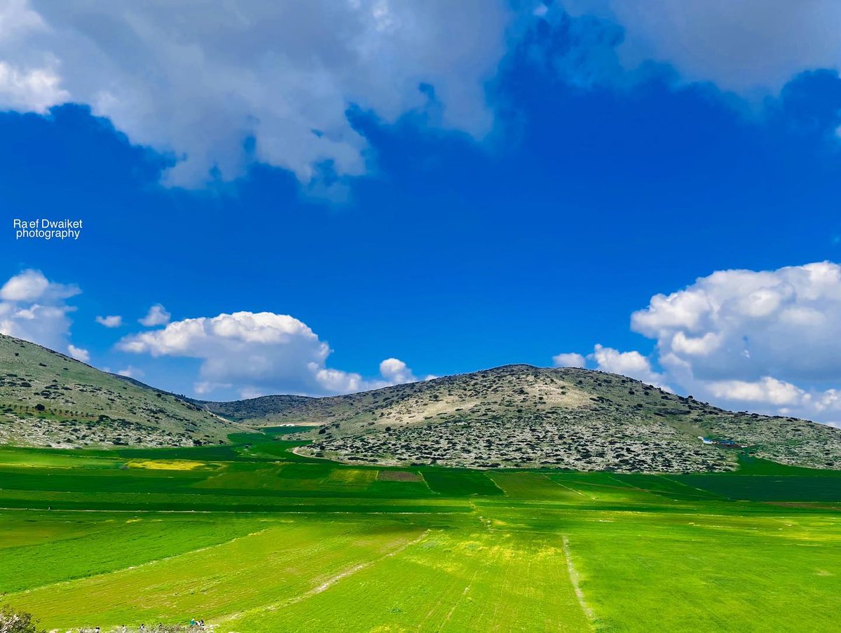 aobaidps's tweet image. طوباس الجميلة 
#فلسطين 🇵🇸
#فلسطين_جنة