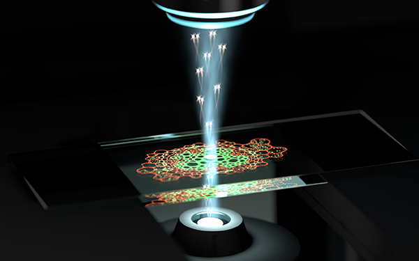 UQ_News's tweet photo. Quantum leap for medical research as microscope zooms in on tiny structures. Great coverage of #UQResearch from @QuantumOpticsLb @BowenWarwick @Catxere @UQscience in @GuardianAus.

https://t.co/2MiYNKzm2B https://t.co/TnD2KfrrBo