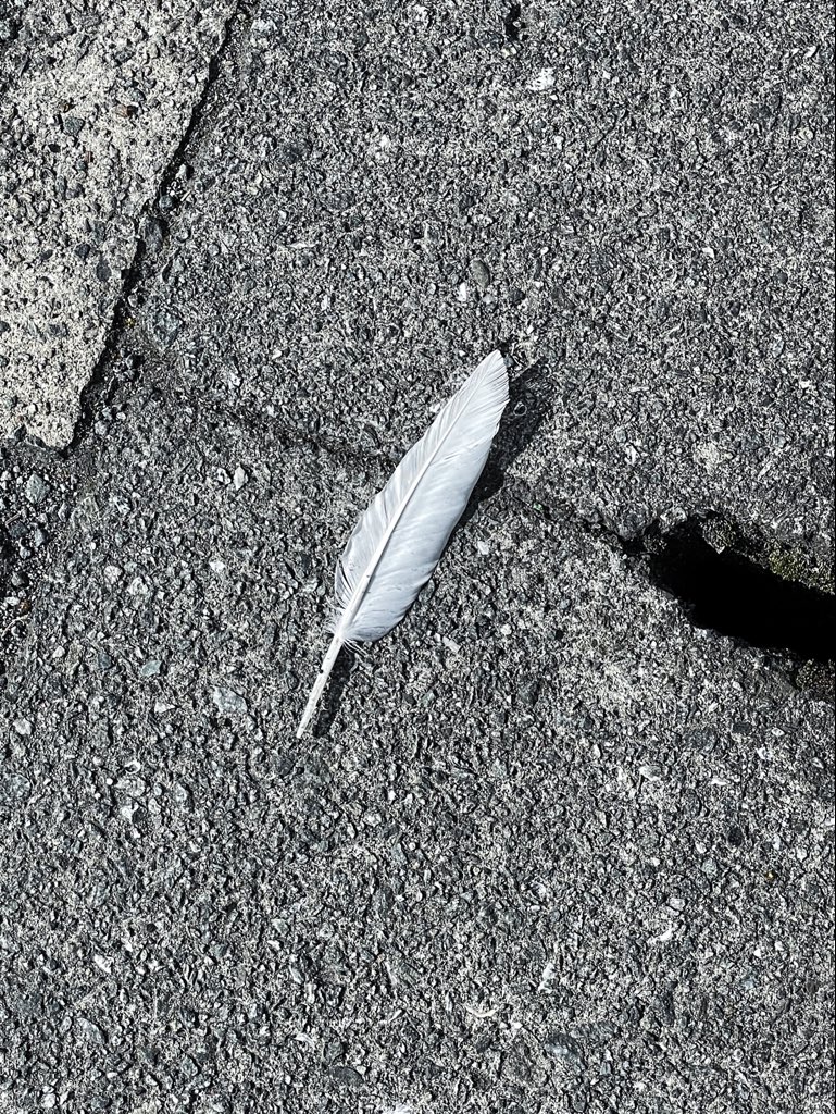 ソノダノア 私の脳は耳で聞いたことを覚えておけないので大事なことは目に見えるかたちで伝えて欲しい ソノダノア 私の脳は耳で聞いたことを覚えておけないので大事なことは目に見えるかたちで伝えて欲しい