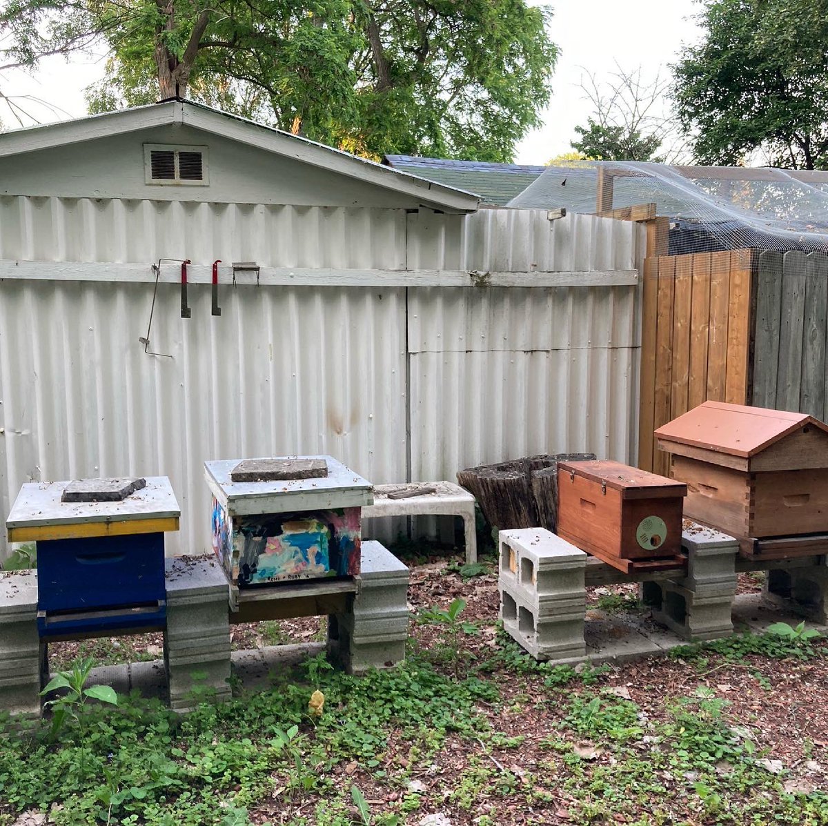 Hive2Home's tweet image. New (and more) hives, chickens are in their coop / run, and the basement is well underway!
