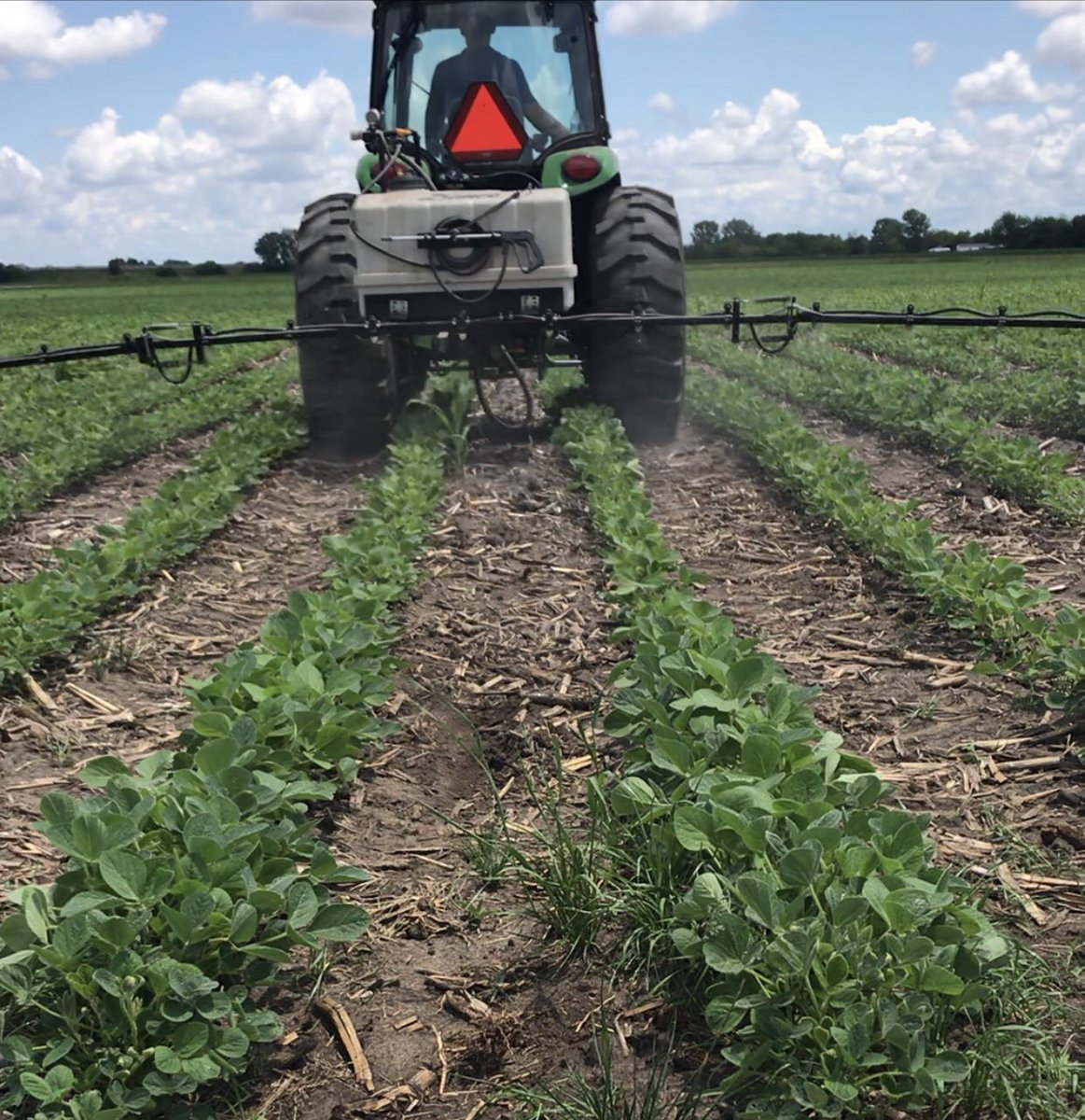 It was a long day of being in the heat but was able to get all the post foliar apps on the Innovation Farm, and grab some tissue samples on everything before apps, will follow up with more tissue samples next week. We have a great group of interns this season!!!! #InsidethePlant