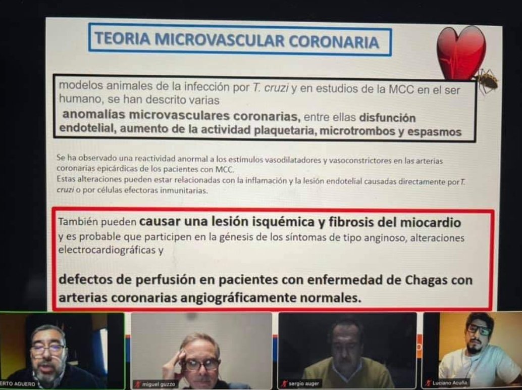 SACnuclear's tweet photo. Excelente Ateneo Interconsejos 
"Enferm de Chagas, situacion Actual, Evaluacion y seguimiento"
@consejoEcoSAC @SACJoven @CONAREC_ORG 💯❤
🎤Dr Roberto Aguero, Ariel Saad, Marcelo Benassi, Luciano Acuña, Miguel Guzzo @GeronazzoJose @aleconeldo @rodridp @NeivaMaciel_doc @fermerani https://t.co/KBLpg3Oyh0