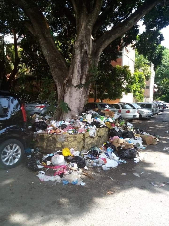 Roberto_Dubon's tweet photo. Mejicanos ha perdido el mejor sistema de recolección de desechos sólidos, todo por votar por una moda estúpida como la N #BasuraCity https://t.co/ONi7tuBA8E
