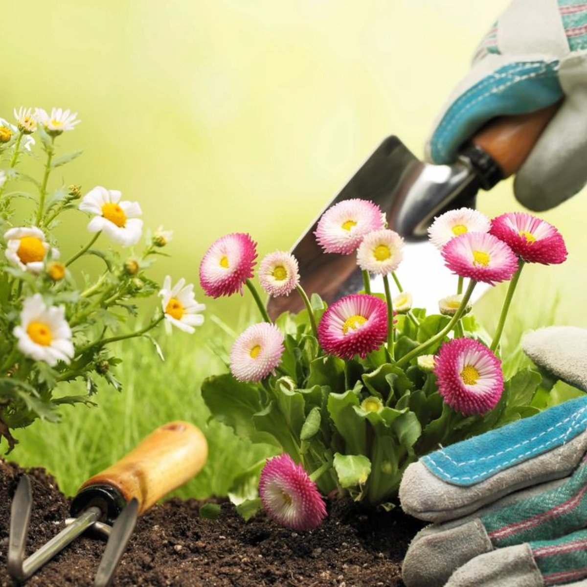 RickHamiltonMBA's tweet image. Gardening can be more than just a fun hobby -- it also increases your home's curb appeal and value. What kinds of things are you planting this season? 🌸