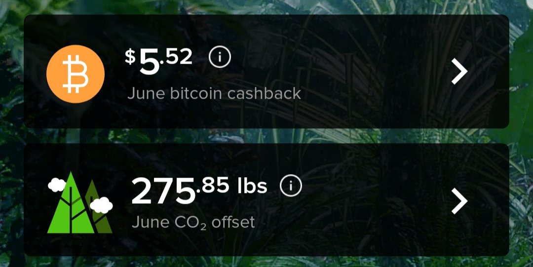 MikenottMike's tweet photo. @mogomoney with the 2% BTC cashback and carbon offsets too! #Mogomeanslt https://t.co/hwBpG1jrp8