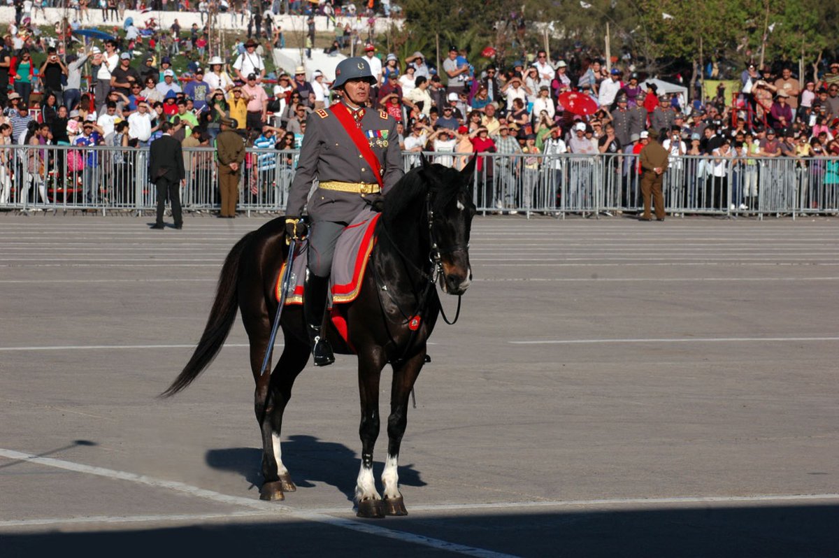 Ejercito_Chile's tweet photo. Tras su fallecimiento, el Ejército despidió a “Solitario”, caballo que durante 8 años desfiló en la Parada Militar junto al Jefe de las Fuerzas. Si quiere conocer más sobre este fiel equino te invitamos a revisar la siguiente nota 👉https://t.co/5idDYxb7RK 🐎🇨🇱 https://t.co/vcihHhMTrj