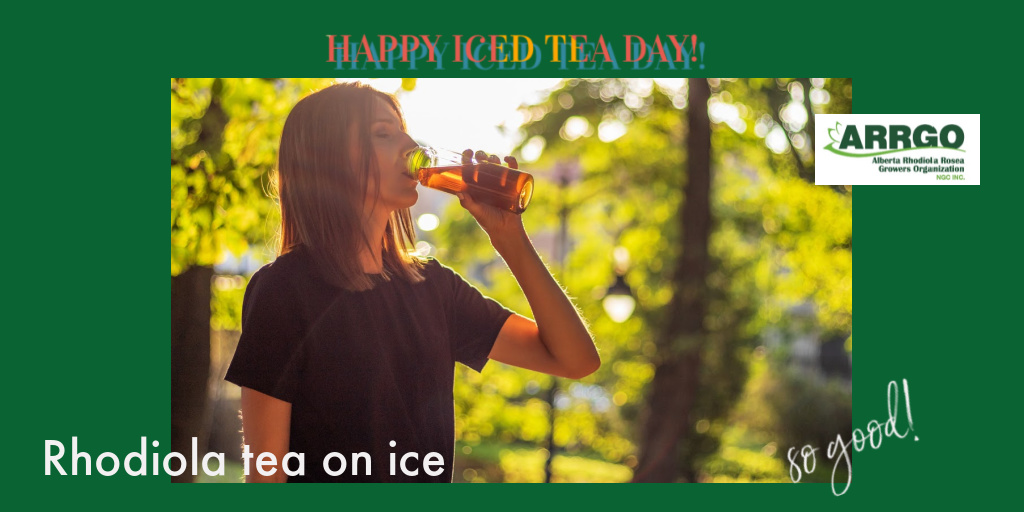 ABRhodiolaRosea's tweet photo. Happy National Iced Tea Day!  Enjoy Rhodiola tea on ice! https://t.co/hMMVFOsRlC