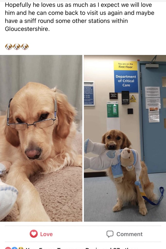 holly_f_b's tweet photo. So excited that @GeorgenGismo is paying a visit to @Glos_SWASFT 🚑 I know this will put a smile on so many faces! https://t.co/FeRHspWFyR