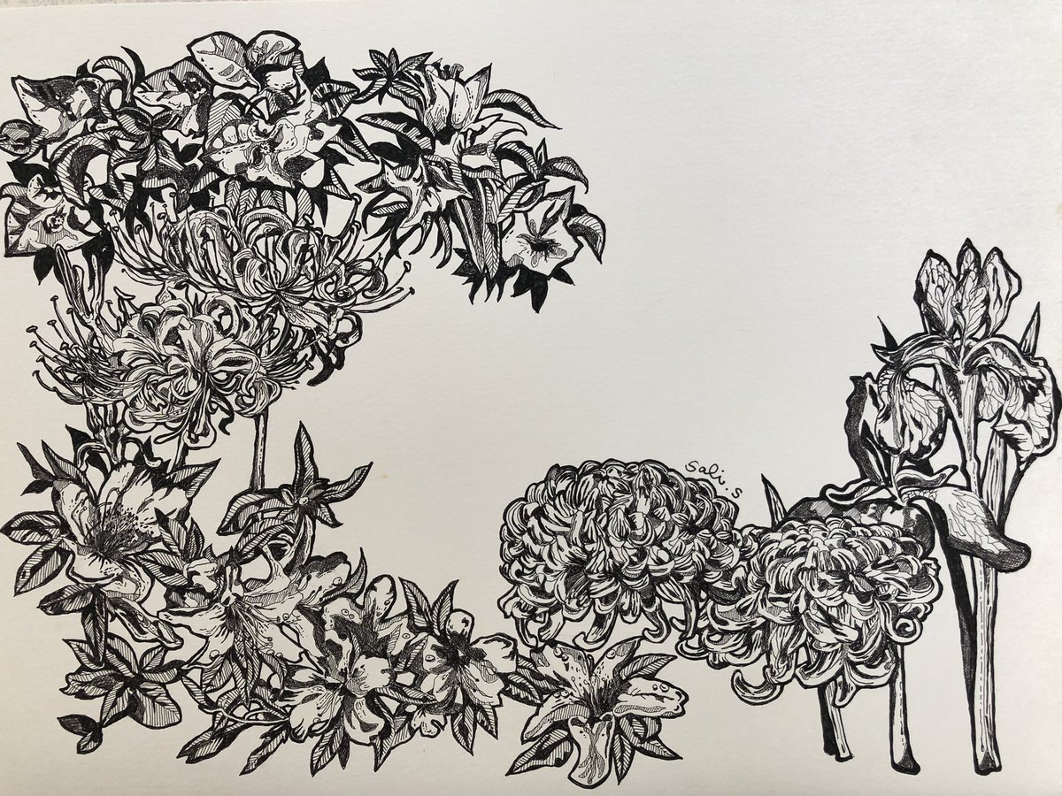 Sali サーリ 彼岸花と菊の花が描きたくて描いた絵 色はどうしようかな ペン画 T Co Uopwighch9 Twitter