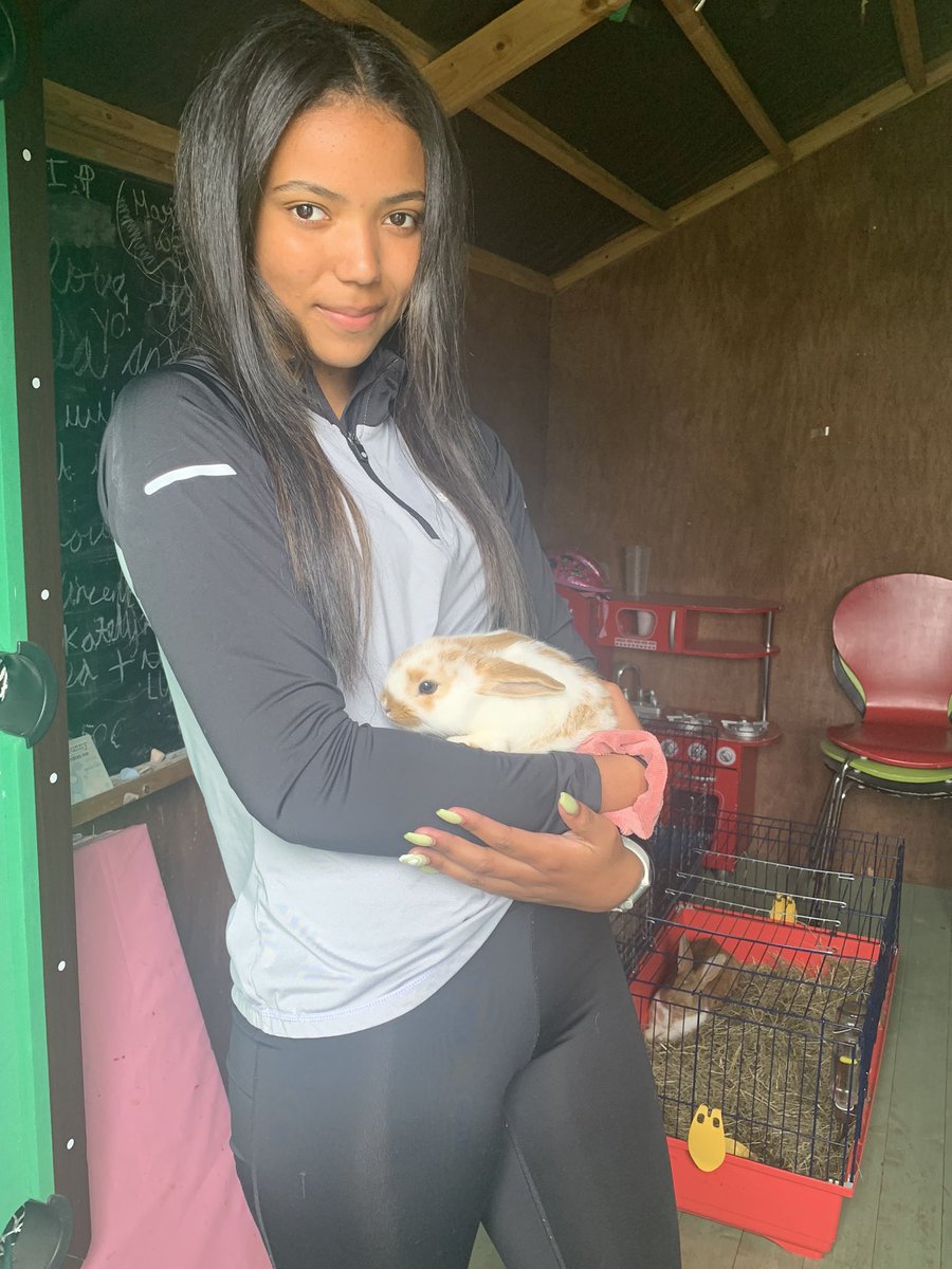 Welcome Gigi our newest family member. It’s official we are now outnumbered by animals 😂😂🐶🐶🐈🐠🐇