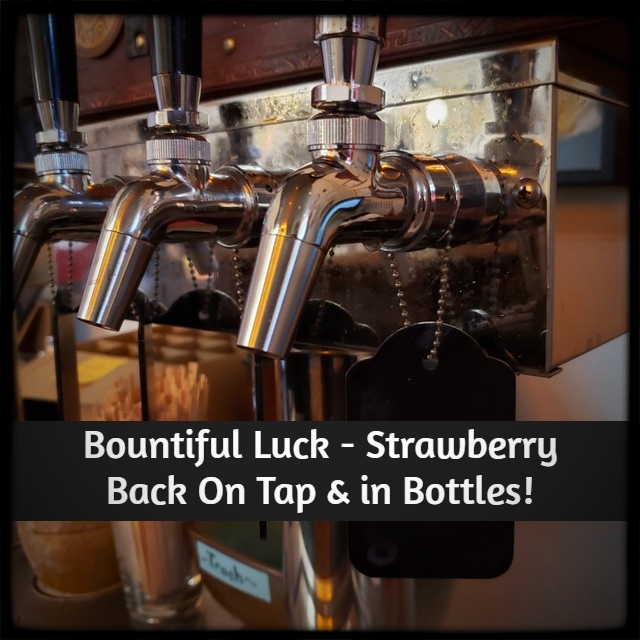 SnFMeadery's tweet photo. Bountiful Luck - our Strawberry Sweet Mead, is back on Tap &amp; in bottles!

#scaleandfeathermead #mead #backontap https://t.co/sHA3UVPLjW
