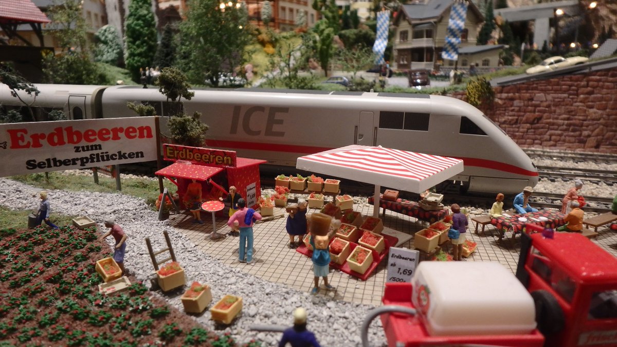 ICE trains is going by the strawberry field, where they are selling strawberries. #trains #modelrailroad #miniature #Osoyoosbc #hoscale