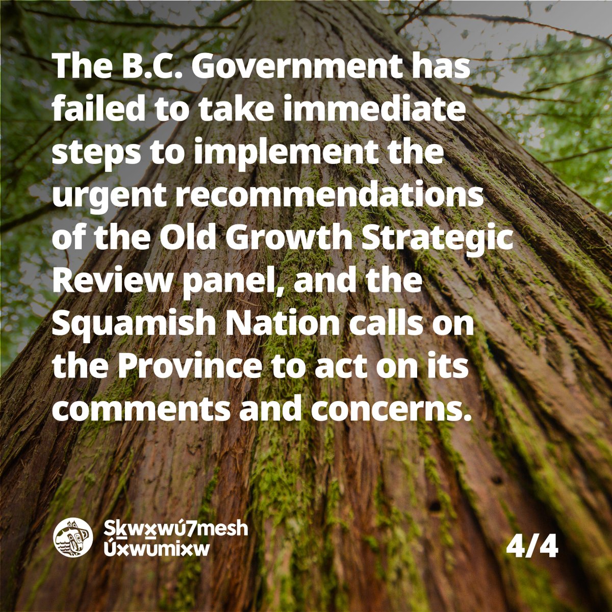 On June 10, the Squamish Nation formally gave notice to the Province of B.C. to defer old-growth logging for two years in the Nation’s 690,000 hectares while the Nation develops long-term sustainability plans.

Read the full release at squamish.net/old-growth
