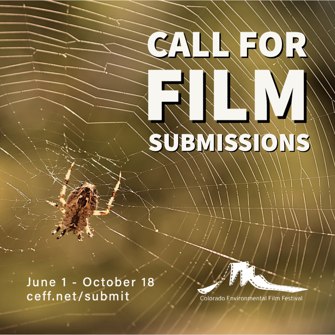 CEFF's tweet image. Calling all #environmental #filmmakers for submissions to #CEFF2022. Seeking films of any length on an environmental topic for showcasing February 24-27, 2022. See ceff.net/submit for more information.