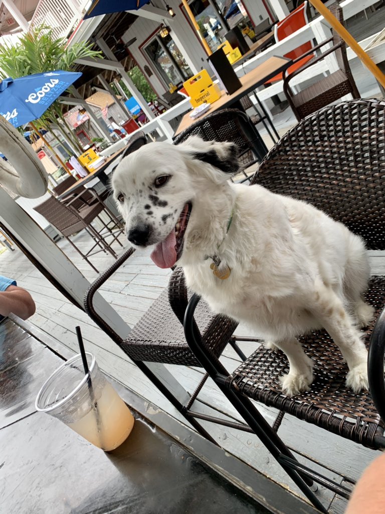 fanneepack's tweet photo. Benny said make it a double https://t.co/3LrgfjGXum