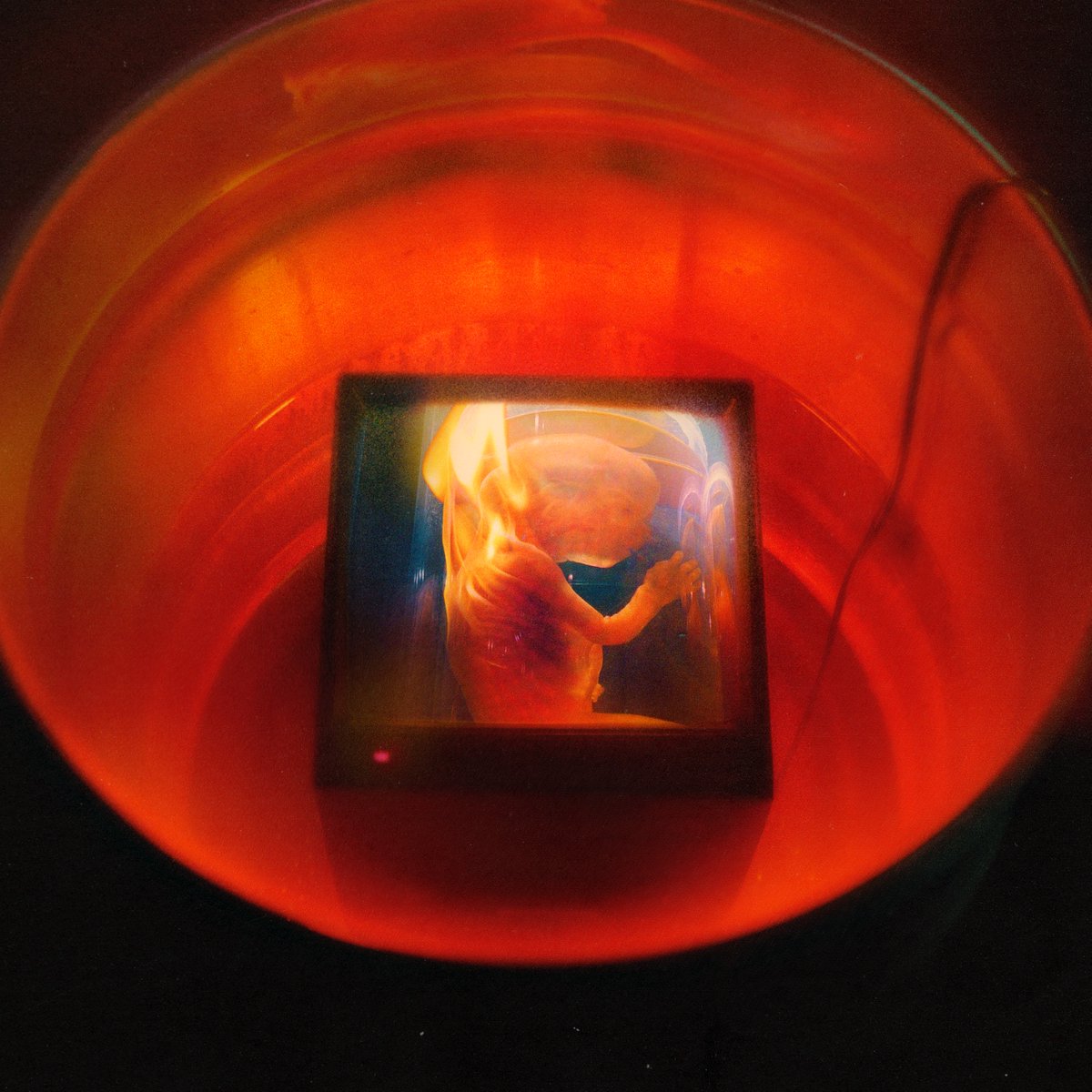 "HARAM" JUNE 18. 
smarturl.it/xHARAM