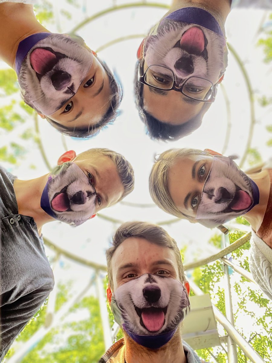 Lab photo 2021: keeping it paws-itive in tough times