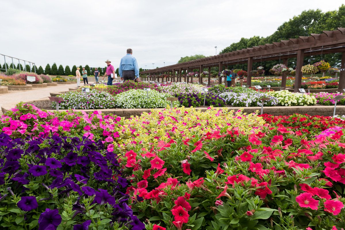MetrolinaGHS's tweet photo. Our trial garden was in its prime today for our industry open house. Breeders were able to walk the gardens to evaluate how their varieties are doing this year as part of their effort to provide the best plants to the public. Enjoy some of the beautiful scenes from today. https://t.co/8yosrCOHTy