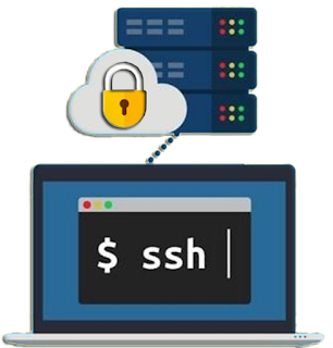 Fresh SSH All Country Jun 11 2021 view more: bymyseo.com/2021/06/fresh-…