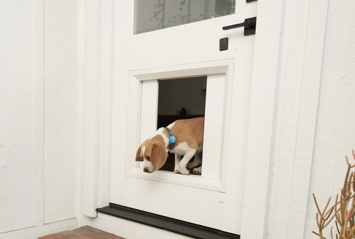 PROBILTOFSAC's tweet image. 4 Home Upgrades probiltconstruction.com/blog/267.html via @PROBILTOFSAC