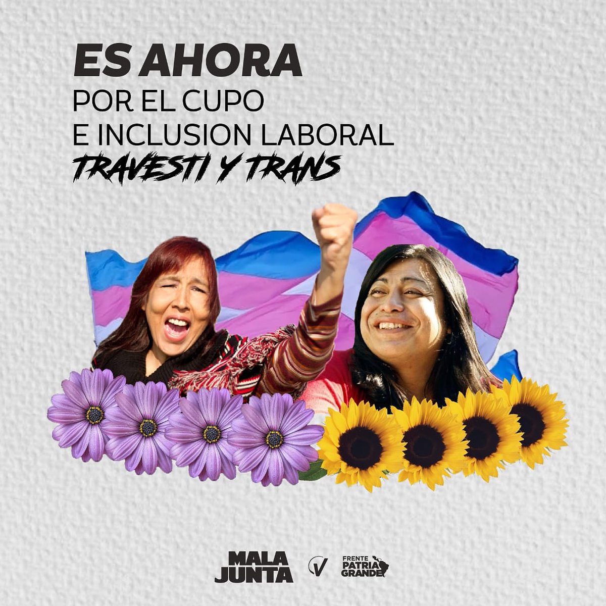 MalaJuntaCba's tweet photo. ¡Es ahora!
Hoy es un dia histórico para nuestro pais, se pondrá a votación en la Cámara de Diputadxs de la Nación el Proyecto de Cupo e Inclusión Laboral Travesti Trans. https://t.co/4dweTLJdj1