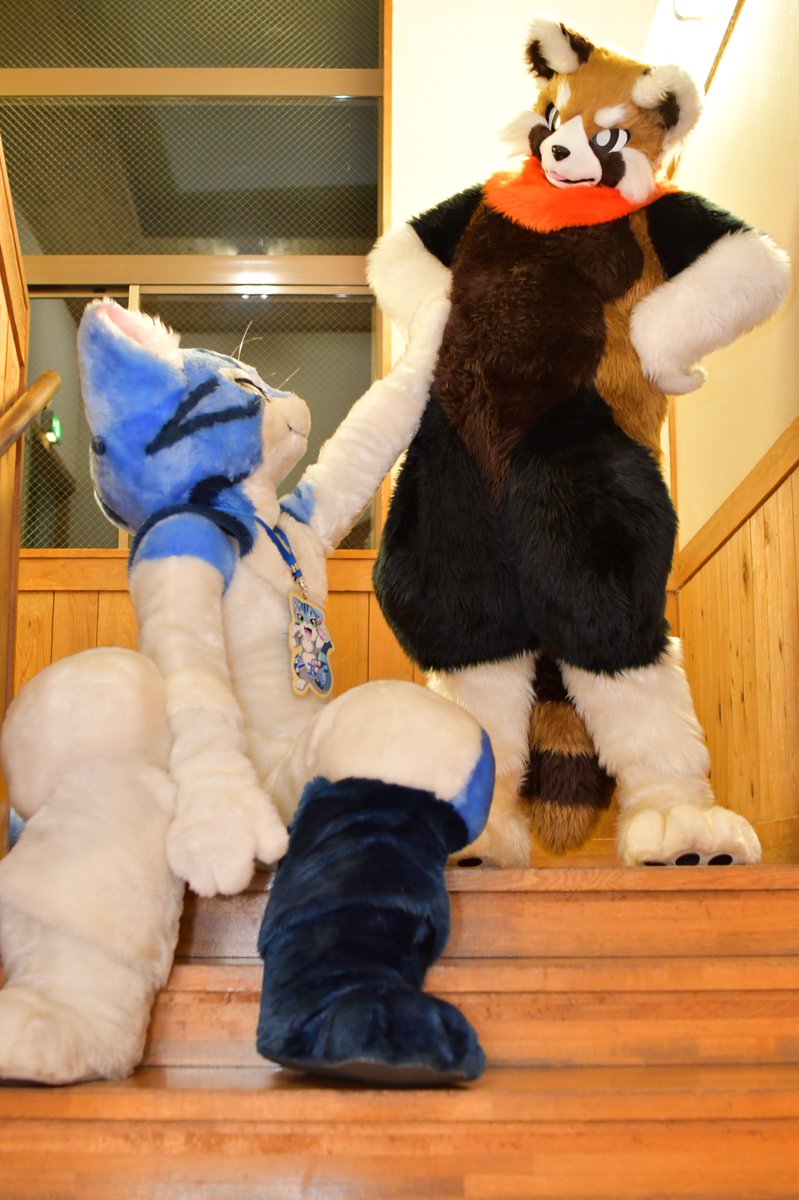 LesserMasato's tweet photo. ネコチャンにモミモミされた!
#TDOS5 #FursuitFriday
📸あふけくん@siroka885
🐱シエルくん@chaba_ciel https://t.co/U1Cx4rmLW3