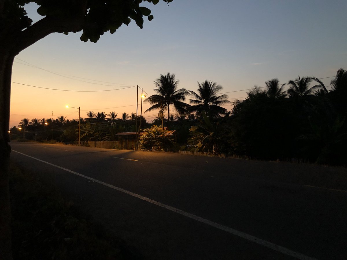 koinoyosan's tweet image. 06-10-21
#cellsinterlinked