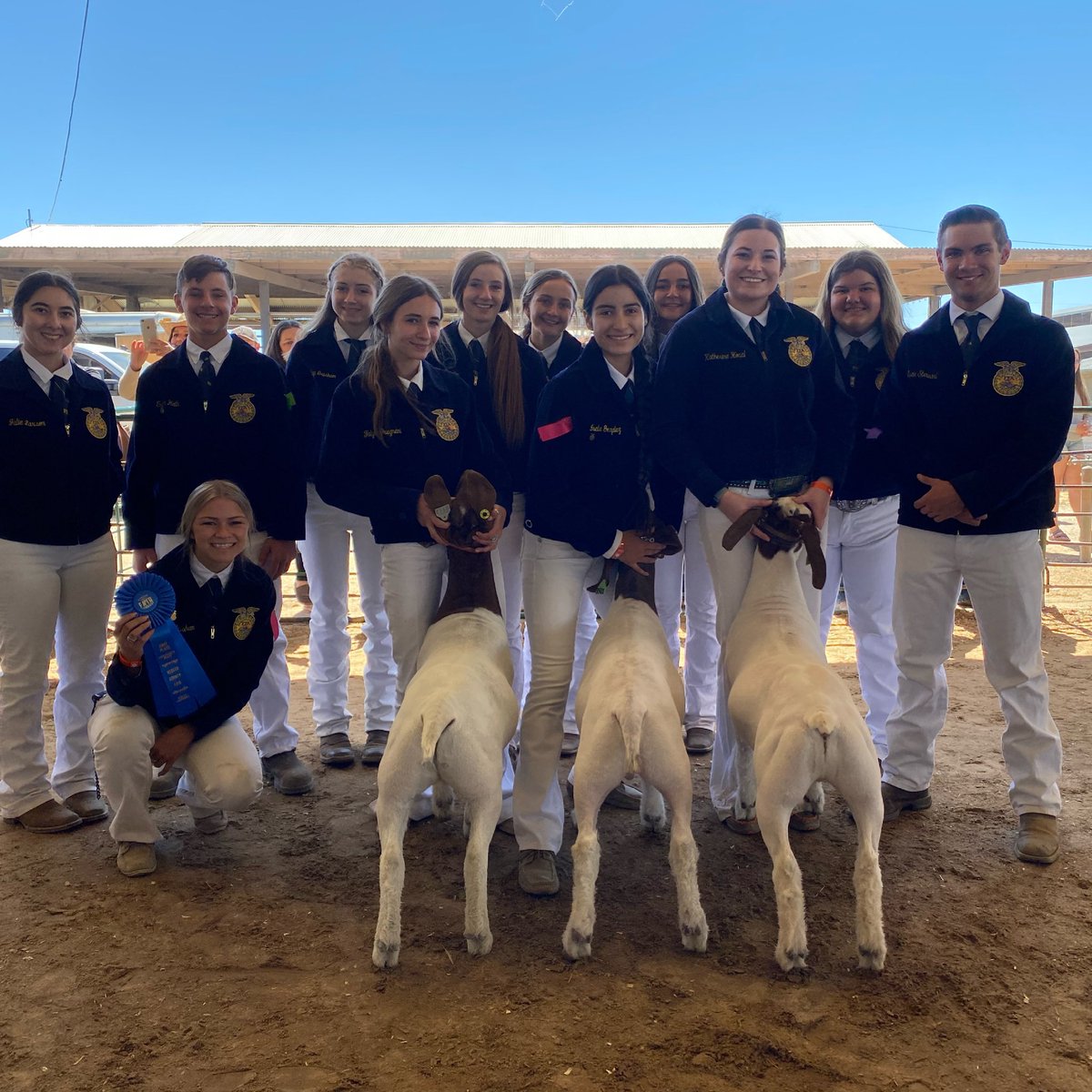 CHAMPION CHAPTER GROUP! Awesome job to all of our Meat Goat exhibitors today! <a href="/KevinSwartwood1/">Kevin Swartwood</a> <a href="/cougar_crossing/">Freddy Cougar</a>