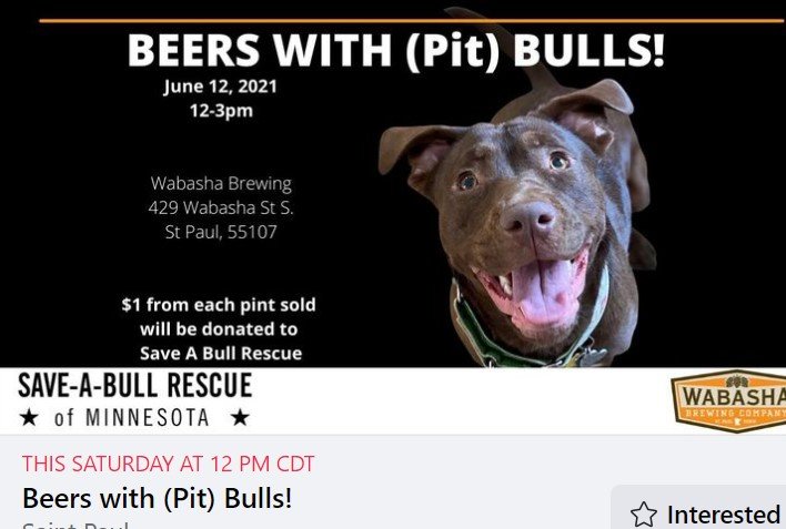Save A Bull Rescue Of Minnesota Saveabullmn Twitter
