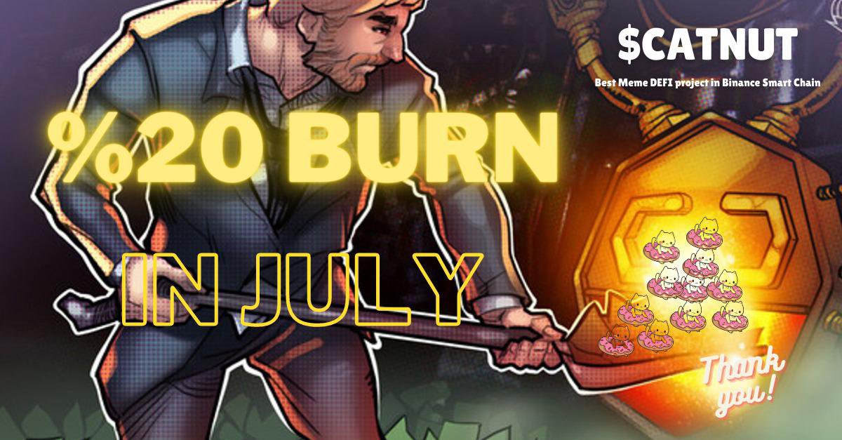 Catnutclub's tweet photo. IN JULY! #burn #coinburn #gem #catnut #defi #meme #memes $Cnt https://t.co/3FD3Jdwqwy