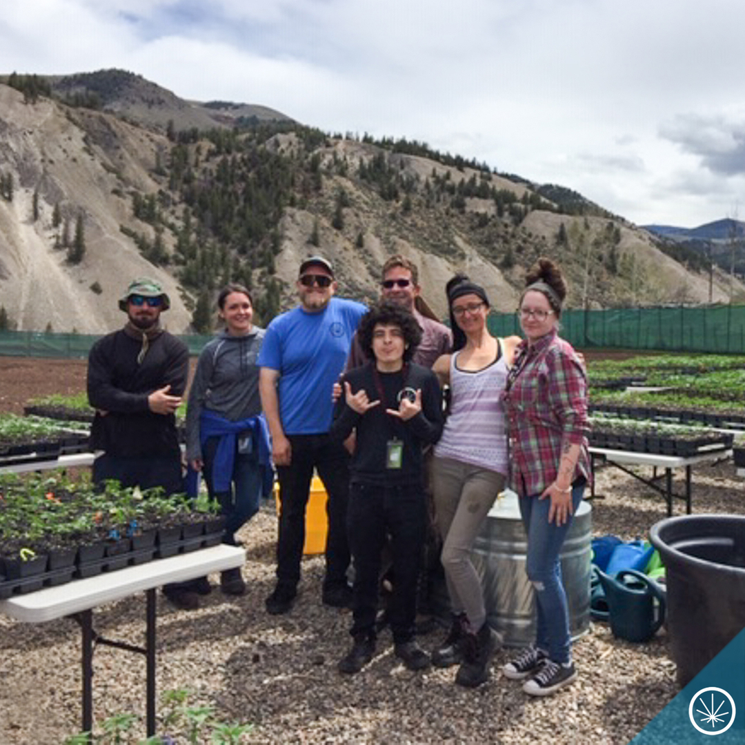 potzero420's tweet photo. There's nothing quite like working under the sky with fresh air purifying the lungs and the soul.
#PotZero #Colorado #Cannabis #ColoradoLife #ColoradoLiving #NaturalColorado #CannabisCommunity https://t.co/Ly3pVVkS54