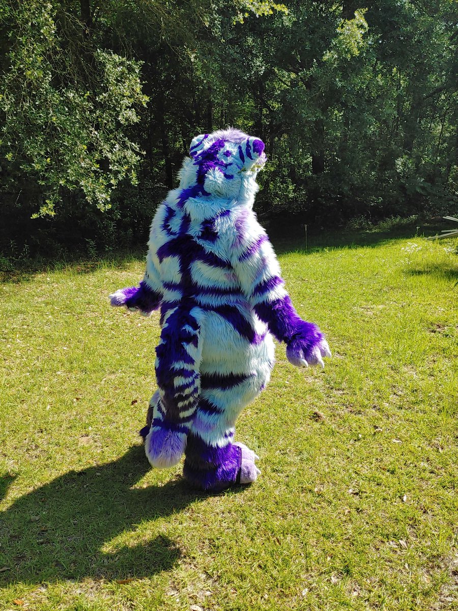 SassyTigerSuits's tweet photo. My latest personal project debuted last weekend at local con #infinitycontally so i thought i should share it! My first body suit, complete with hidden rainbow zipper, removable padding, and POCKETS! #fursuit #fursuitmaker #sabertooth https://t.co/ro7SP6Jniu