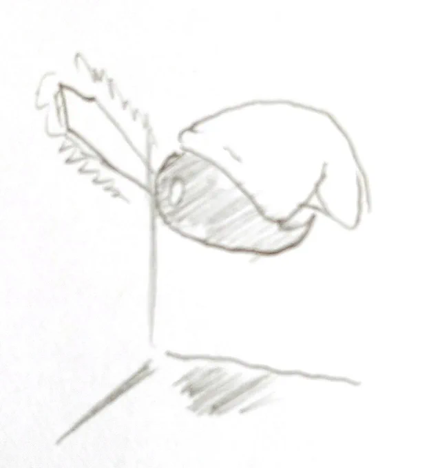 おはポチ('ω`)
きんよーび└(└'ω')┘
※残像剣ホバーするポチ 