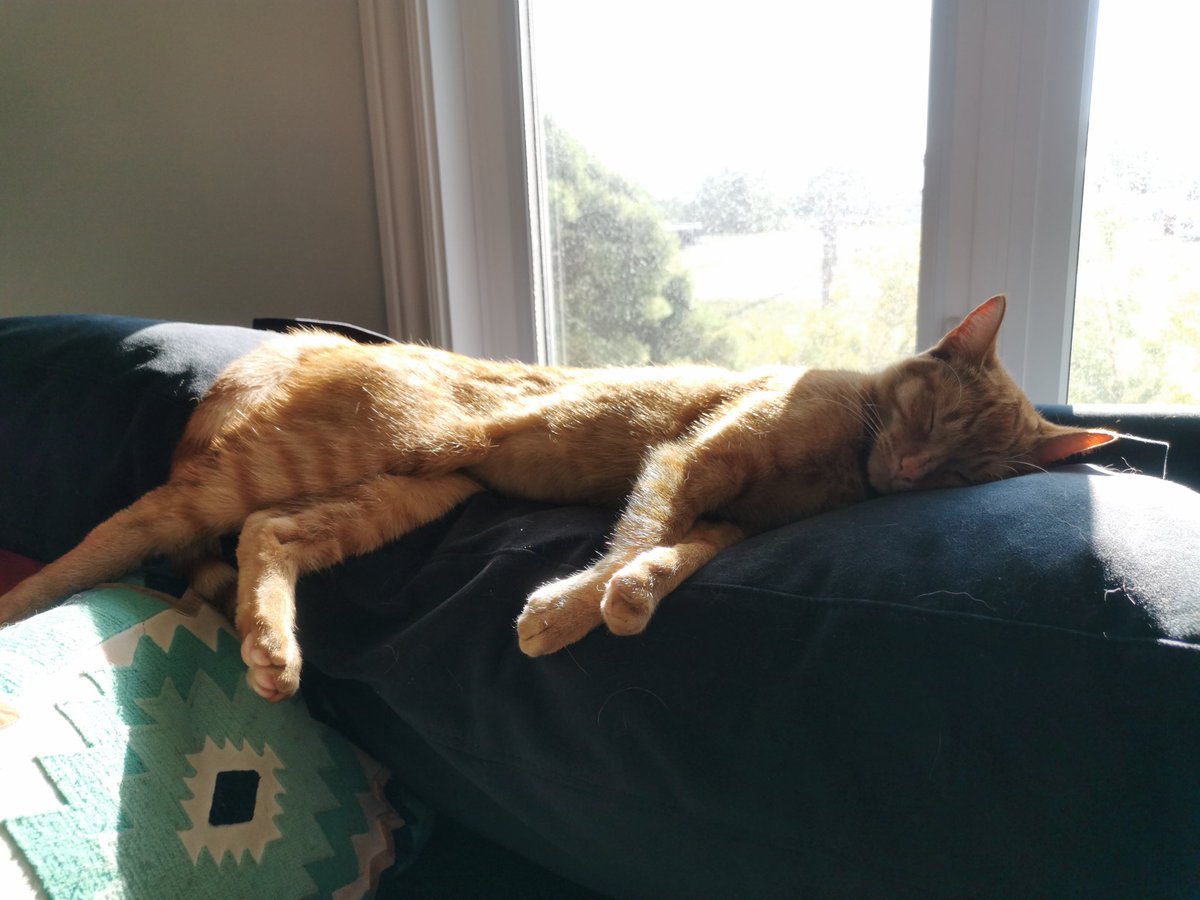 Living her best life as usual ♥️