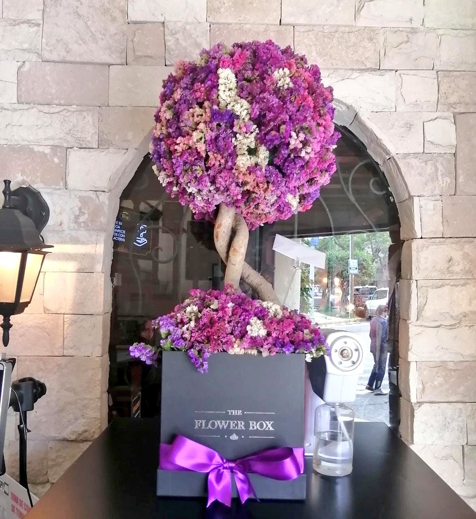 theflowerboxmx's tweet photo. Hoy entregamos este Árbol de los buenos deseos🙌💗😍
Pedidos y catálogo por WhatsApp: https://t.co/DbkkClTLiQ 👈🏻 🛒📞

#envíaflores #regalos #FelizJueves #CDMX #delivery #flores #amor #ConsumeLocal #GoodVibesOnly #novios #amigos #cumpleaños #theflowerboxmx #aniversario https://t.co/PkhNZwgqsU