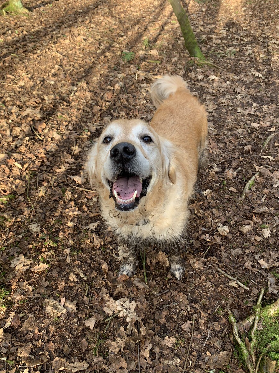 Mat Southall tweet media