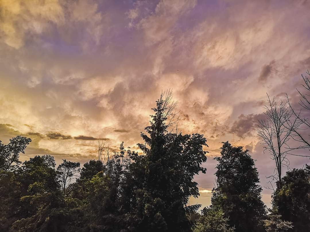 Lover of the Light ♥️