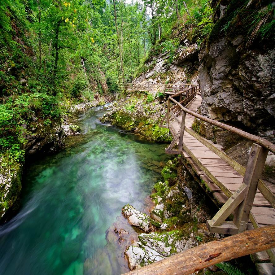 SlovenianA's tweet photo. Vintgar Gorge, #Slovenia 
#PhotoOfTheDay https://t.co/8phg8qzWrv