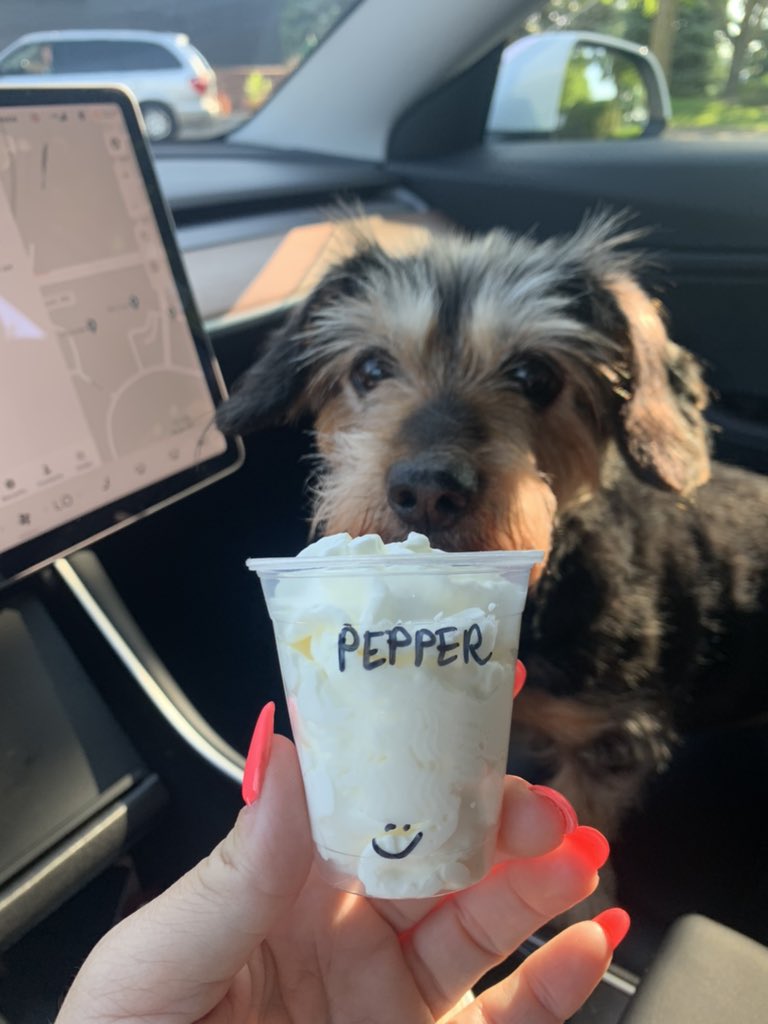 Pepper appreciation post 🐾