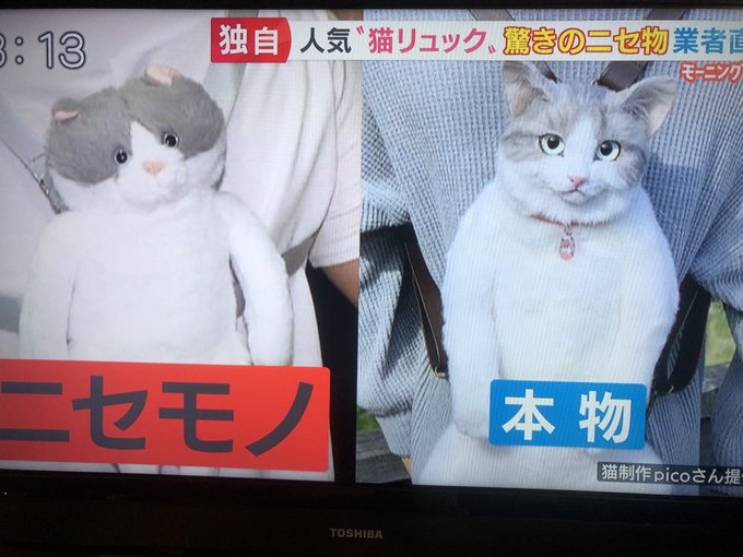 炎上 Snsで話題の猫リュックに中国の偽物 クオリティがあまりにひど過ぎる と話題に 即販売ページ削除 まとめダネ 炎上 Snsで話題の猫リュックに中国の偽物 クオリティがあまりにひど過ぎる と話題に 即販売ページ削除 まとめダネ