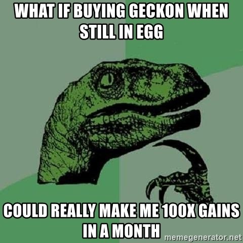 GeckonWorld's tweet photo. Become an early adopter, puppies will cry soon😈

#Geckon #GeckonArmy #NotYourBasicMemeToken #BinanceSmartChain #BSCGem #memecoin #dogearmy #kishu #SHIBARMY @cz_binance @elonmusk https://t.co/HPwd0dwkzA