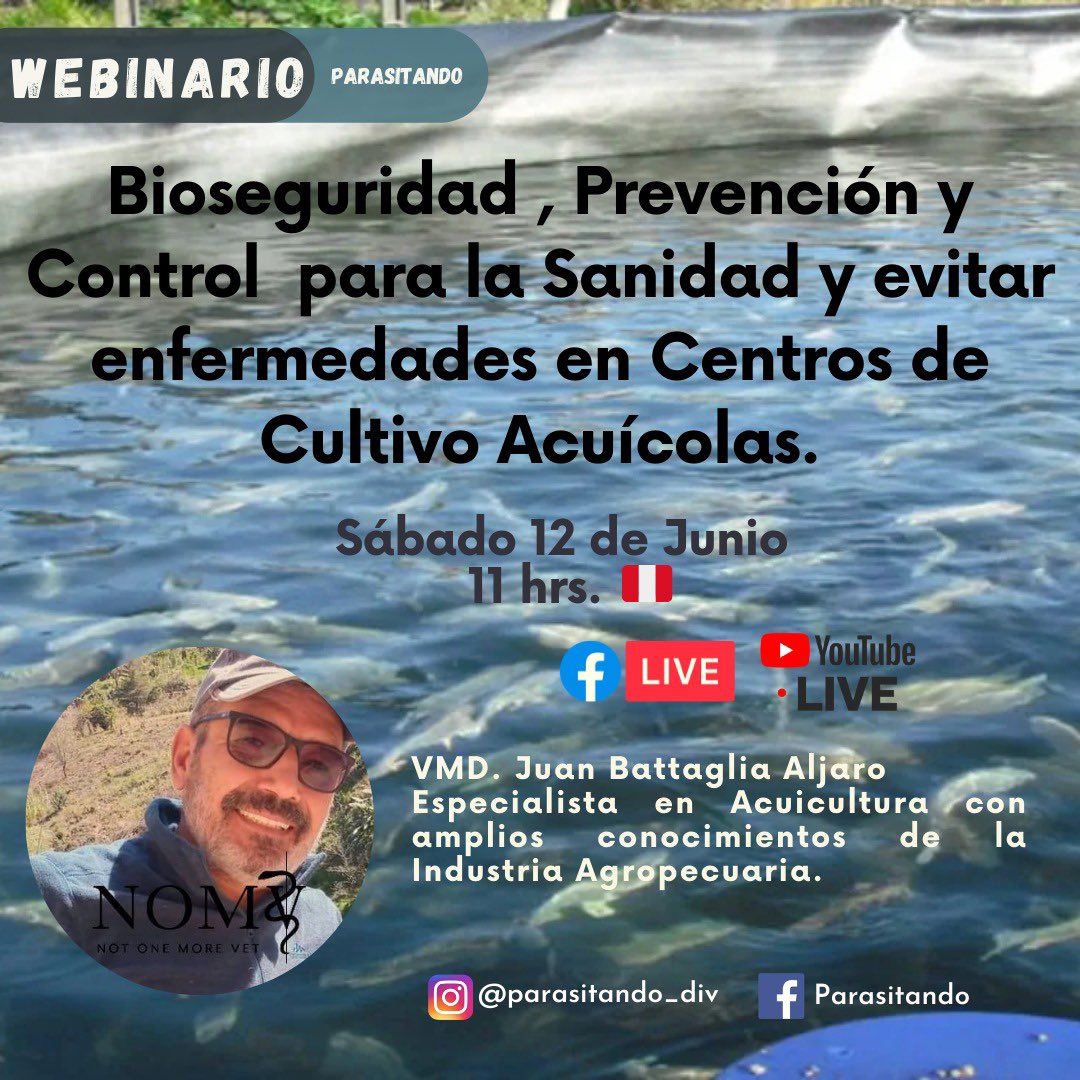 parasitando_div's tweet photo. #sanidadacuicolaenparasitando 
Link de inscripción para acceder a la constancia del webinar 📝: https://t.co/fIvEwCxbvO https://t.co/KFLojSyKrZ