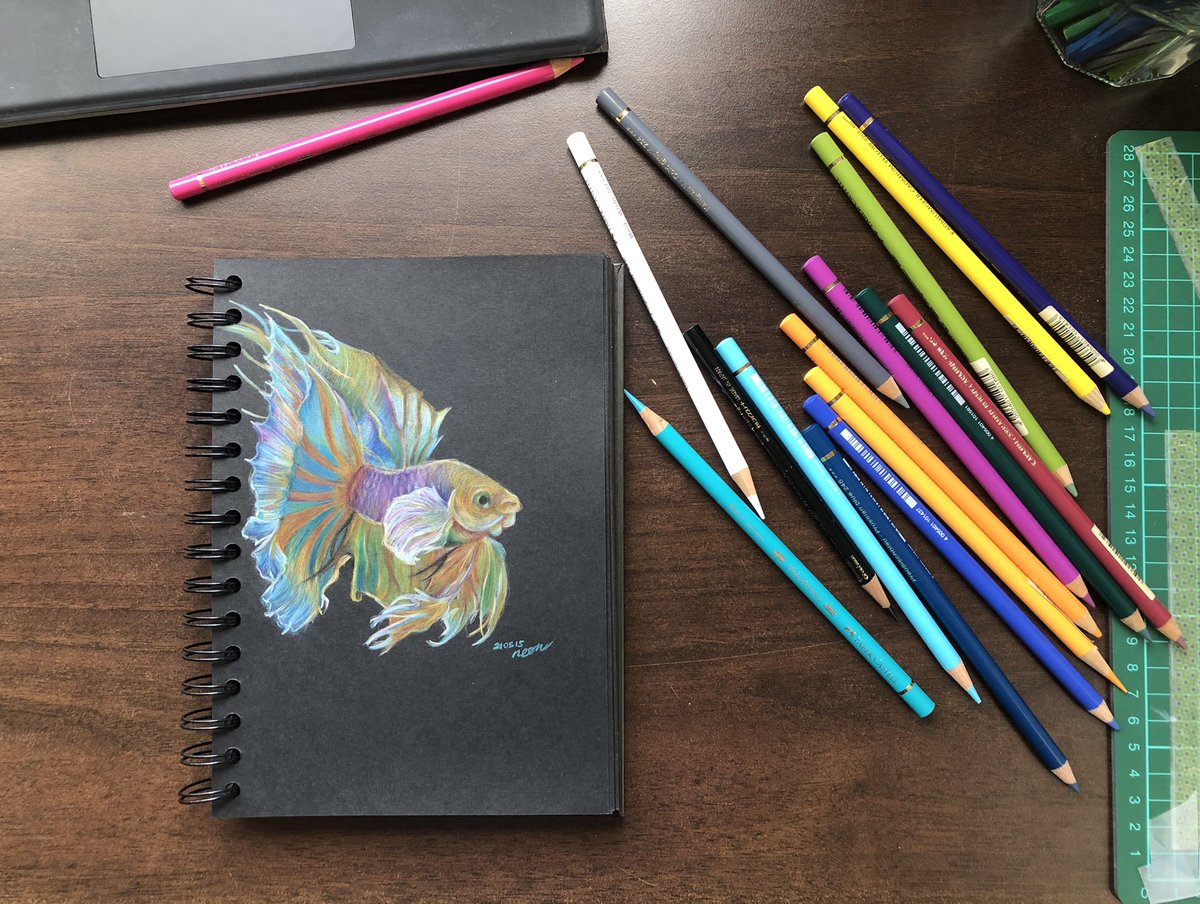 as usual i forgot about this is supposed to be an art account

#blackpaperart #polychromos #fabercastellpolychromos #blackpaperdrawing #fish #fishartwork #fightingfish