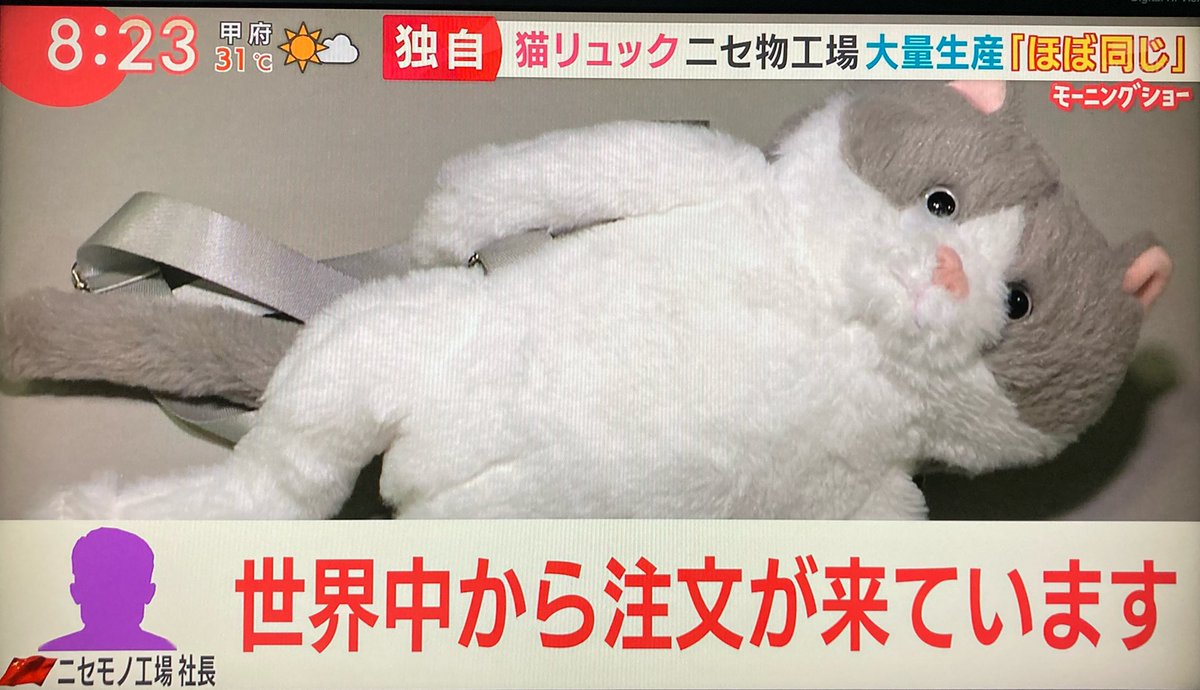 羽鳥慎一モーニングショーで 猫リュック が話題に トレンドアットtv 羽鳥慎一モーニングショーで 猫リュック が話題に トレンドアットtv
