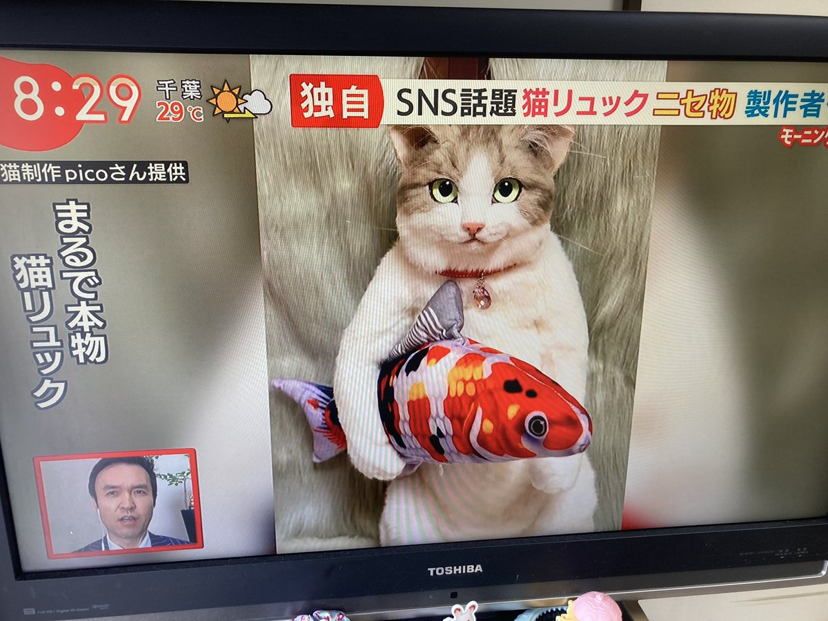 猫リュック Hotワード 猫リュック Hotワード