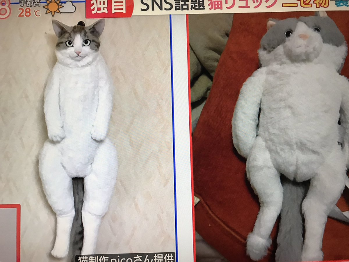羽鳥慎一モーニングショーで 猫リュック が話題に トレンドアットtv 羽鳥慎一モーニングショーで 猫リュック が話題に トレンドアットtv