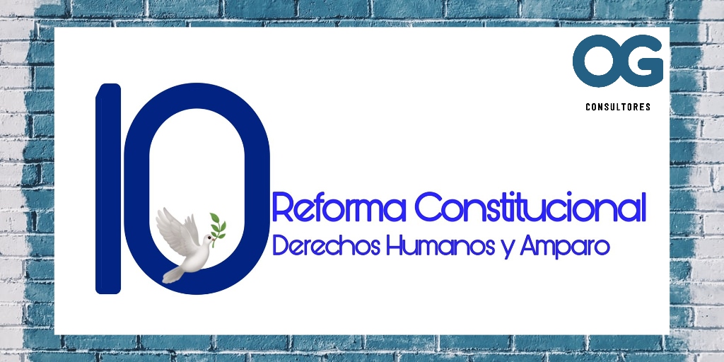 OG Consultores tweet media