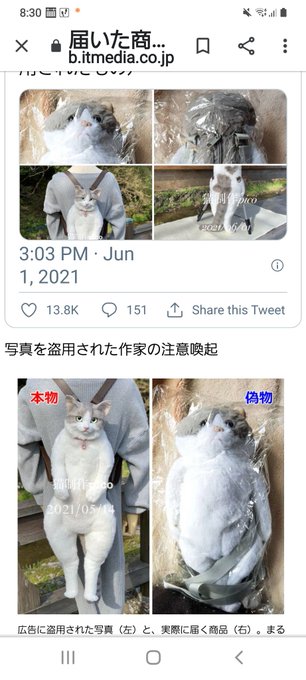 炎上 Snsで話題の猫リュックに中国の偽物 クオリティがあまりにひど過ぎる と話題に 即販売ページ削除 まとめダネ